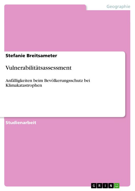Produktbild: Vulnerabilit&auml;tsassessment