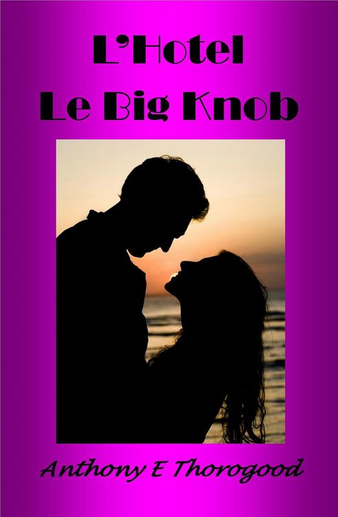 Produktbild: L'Hotel Le Big Knob
