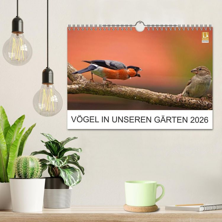 Produktbild: V&ouml;gel in unseren G&auml;rten 2026 (Wandkalender 2026 DIN A4 quer), CALVENDO Monatskalender