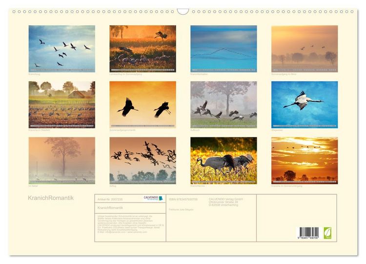 Produktbild: KranichRomantik (Wandkalender 2026 DIN A2 quer), CALVENDO Monatskalender