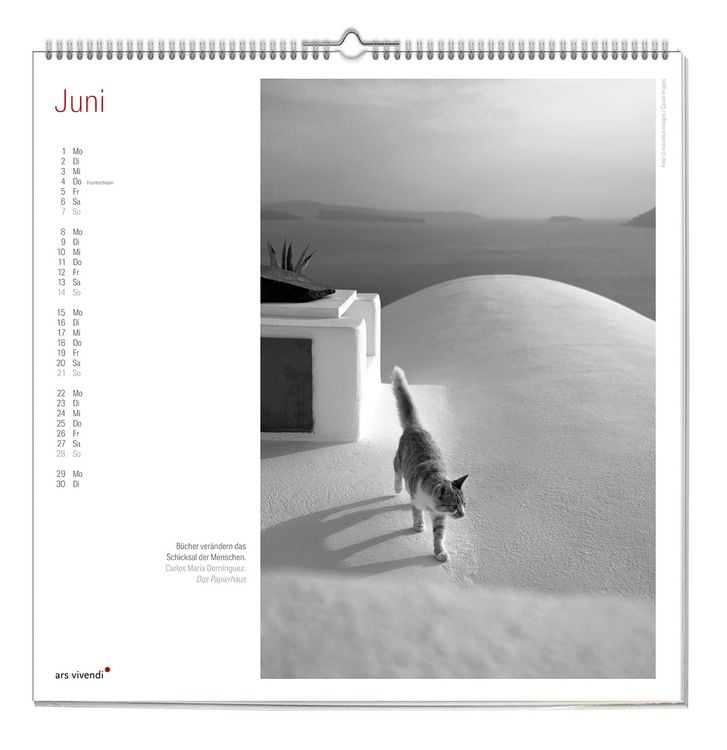 Produktbild: Der grosse literarische Katzen Kalender 2027