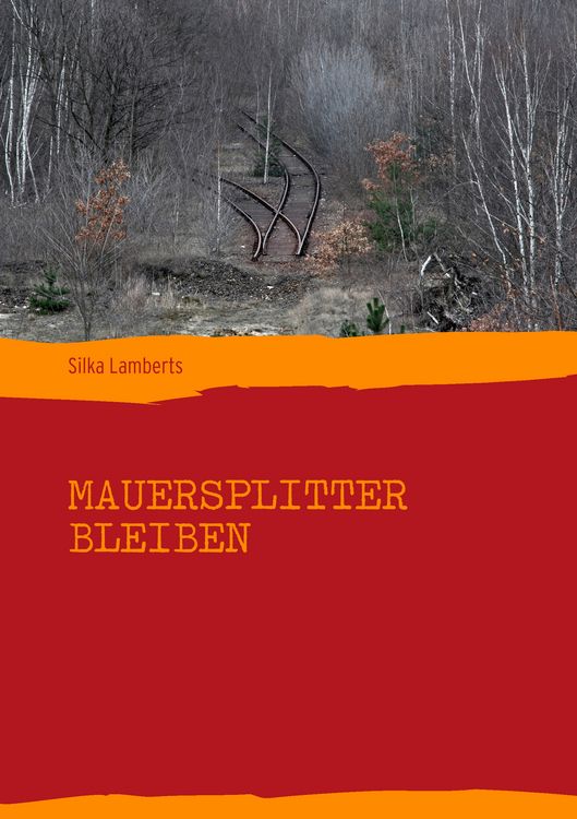 Produktbild: Mauersplitter bleiben