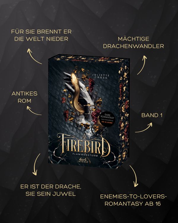 Produktbild: Flammensturm (Band 1) - Firebird