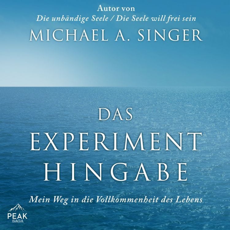 Produktbild: Das Experiment Hingabe