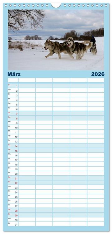 Produktbild: Familienplaner 2026 - Huskies! mit 5 Spalten (Wandkalender, 21 x 45 cm) CALVENDO