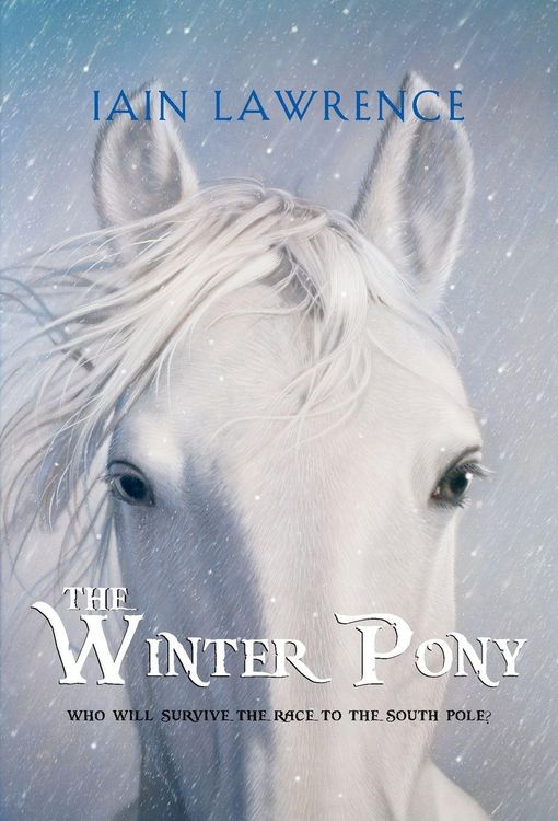 Produktbild: The Winter Pony
