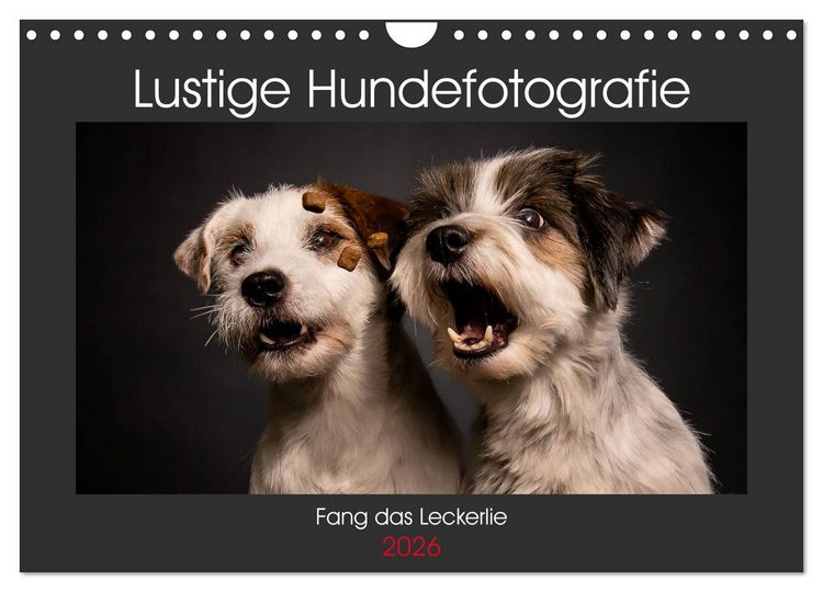Produktbild: Fang das Leckerlie (Wandkalender 2026 DIN A4 quer), CALVENDO Monatskalender
