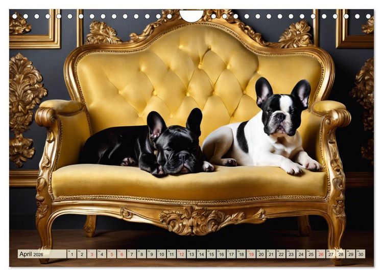 Produktbild: Kleine K&ouml;nige - Franz&ouml;sische Bulldoggen (Wandkalender 2026 DIN A4 quer), CALVENDO Monatskalender