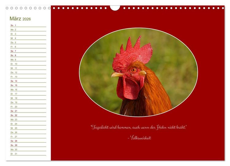 Produktbild: Freilaufende H&uuml;hner (Wandkalender 2026 DIN A3 quer), CALVENDO Monatskalender