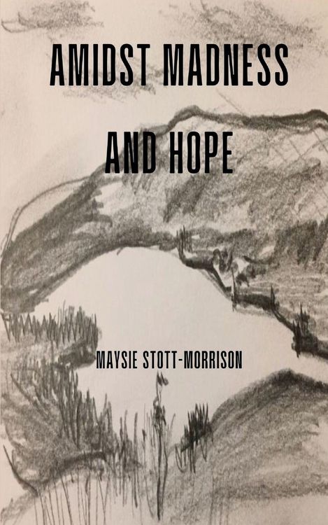 Produktbild: Amidst Madness and Hope