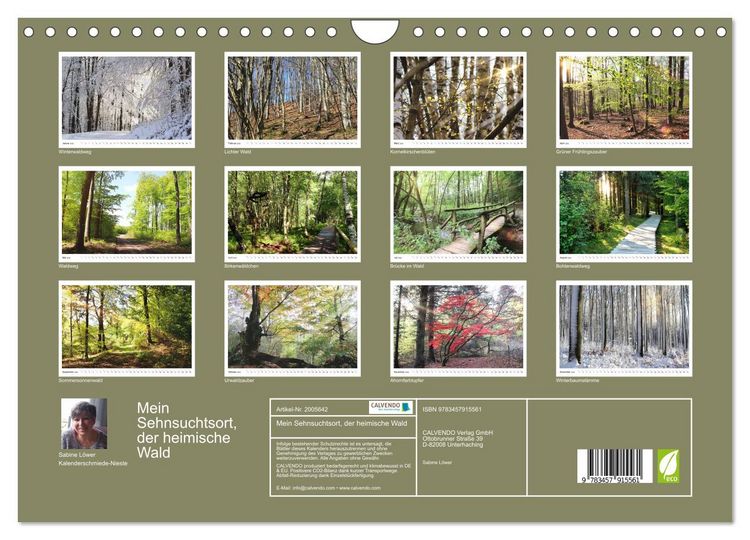 Produktbild: Mein Sehnsuchtsort, der heimische Wald (Wandkalender 2026 DIN A4 quer), CALVENDO Monatskalender