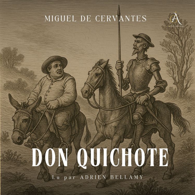 Produktbild: Don Quichotte - Livre Audio