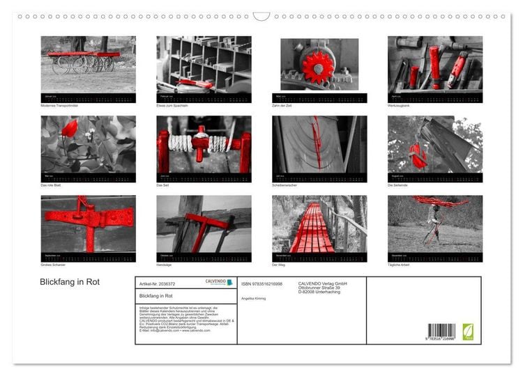Produktbild: Blickfang in Rot (Wandkalender 2026 DIN A2 quer), CALVENDO Monatskalender