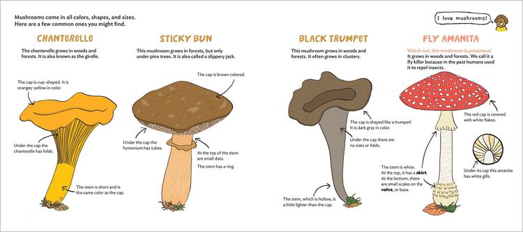 Produktbild: World of Mushrooms