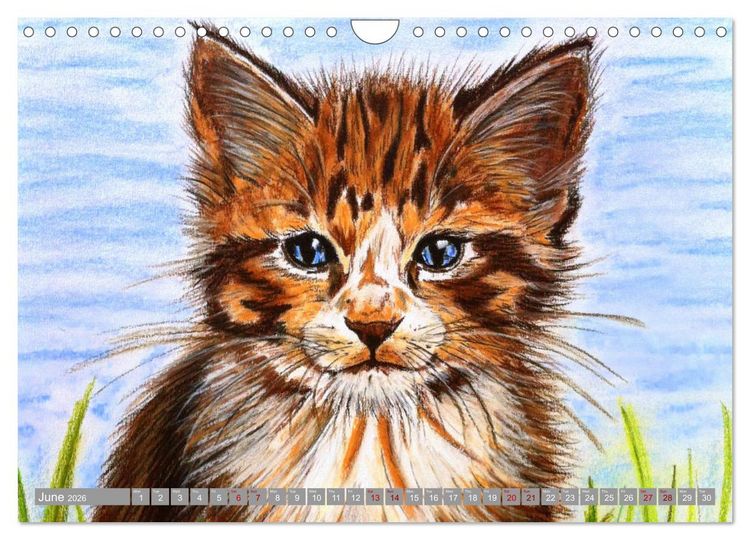 Produktbild: Beautiful cat portraits (Wall Calendar 2026 DIN A4 landscape), CALVENDO 12 Month Wall Calendar