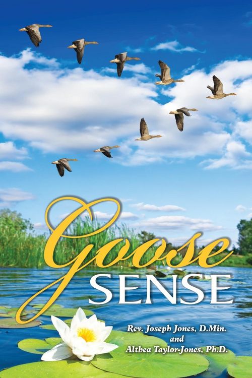Produktbild: Goose Sense