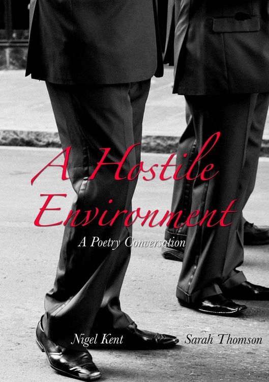 Produktbild: A Hostile Environment