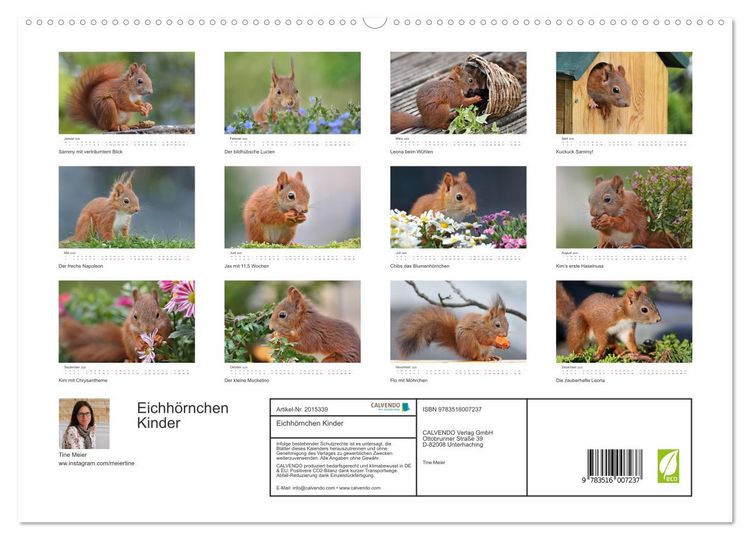 Produktbild: Eichh&ouml;rnchen Kinder (hochwertiger Premium Wandkalender 2026 DIN A2 quer), Kunstdruck in Hochglanz