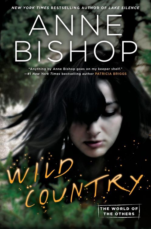 Produktbild: Wild Country