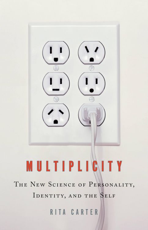 Produktbild: Multiplicity
