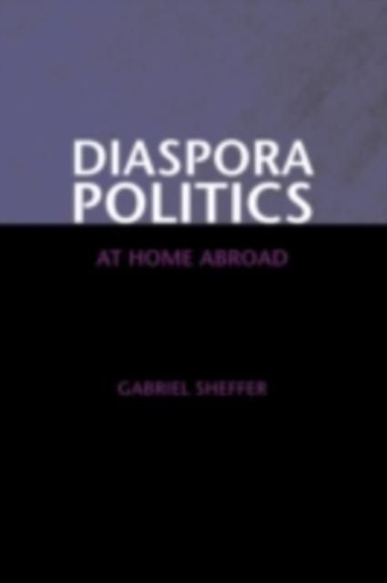 Produktbild: Diaspora Politics