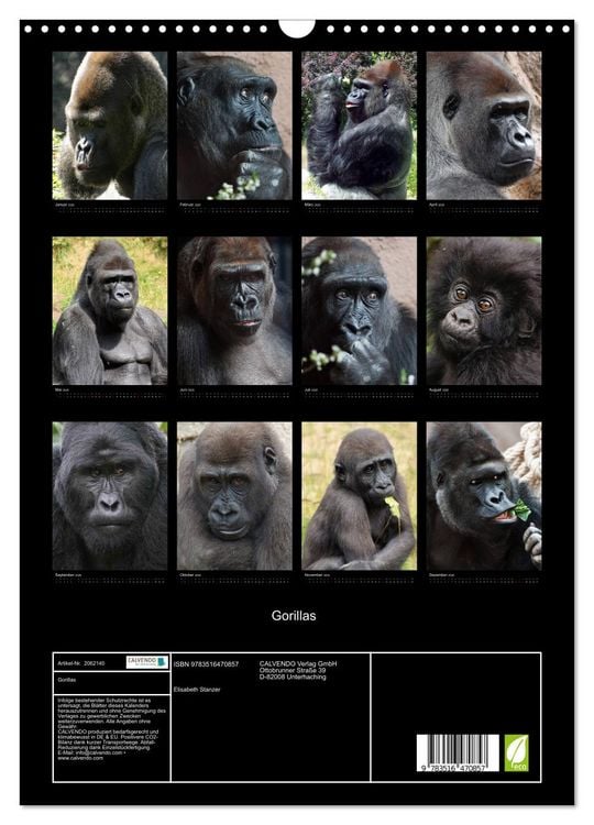 Produktbild: Gorillas (Wandkalender 2026 DIN A3 hoch), CALVENDO Monatskalender