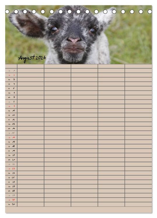 Produktbild: Der bel&auml;mmerte Familienplaner (Tischkalender 2026 DIN A5 hoch), CALVENDO Monatskalender