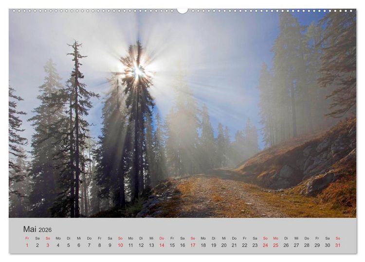 Produktbild: Komm, ich zeige dir den Wald (Wandkalender 2026 DIN A2 quer), CALVENDO Monatskalender