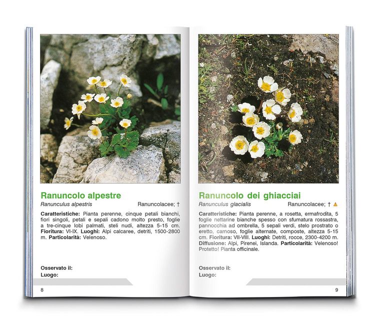 Produktbild: Fiori alpini