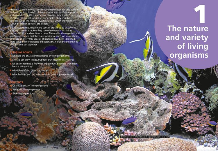 Produktbild: Edexcel International GCSE (9-1) Biology Student Book