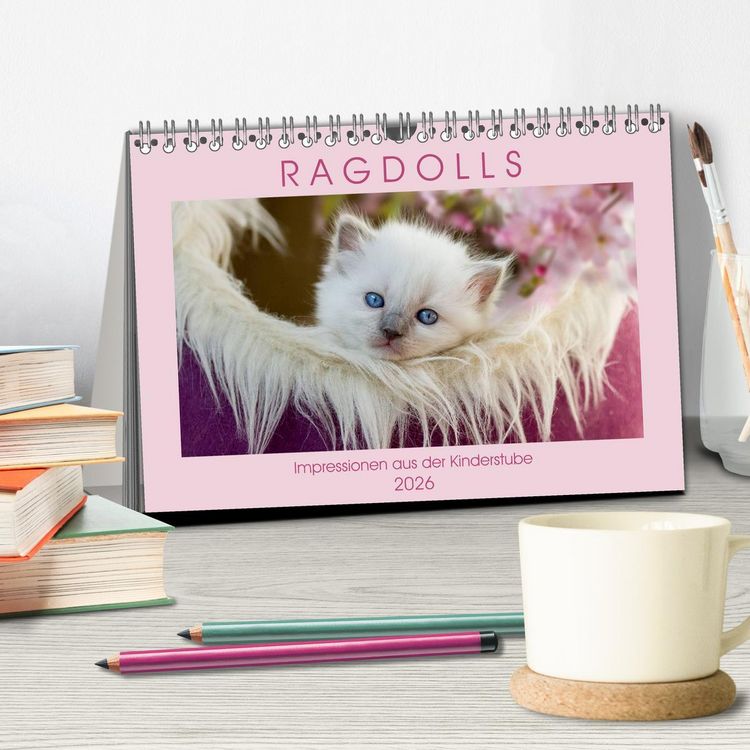 Produktbild: RAGDOLLS Impressionen aus der Kinderstube (Tischkalender 2026 DIN A5 quer), CALVENDO Monatskalender