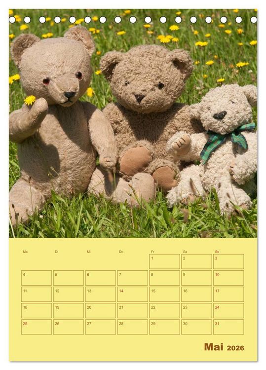 Produktbild: B&auml;renstarker Planer f&uuml;r das Jahr &ndash; Teddys (Tischkalender 2026 DIN A5 hoch), CALVENDO Monatskalender