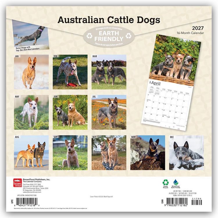 Produktbild: Australian Cattle Dogs 2027 &ndash; 16-Monatskalender