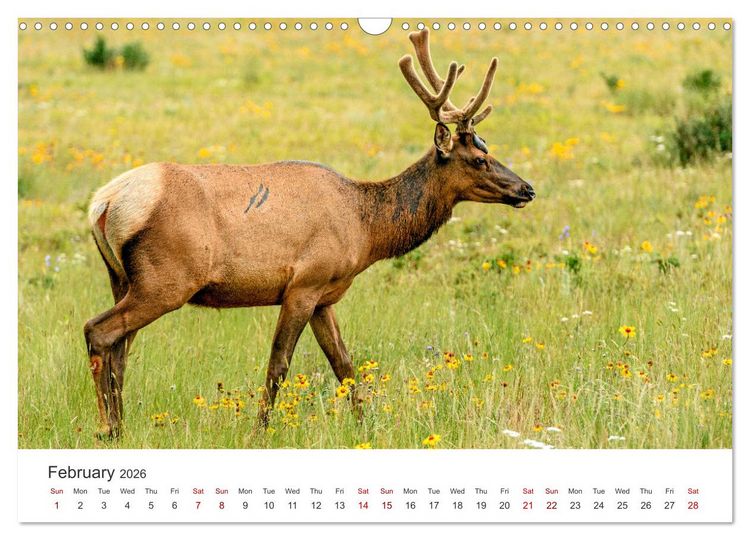 Produktbild: Yukon Wild (Wall Calendar 2026 DIN A3 landscape), CALVENDO 12 Month Wall Calendar