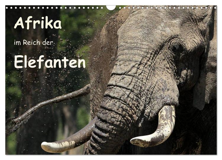 Produktbild: Afrika - im Reich der Elefanten (Wandkalender 2026 DIN A3 quer), CALVENDO Monatskalender