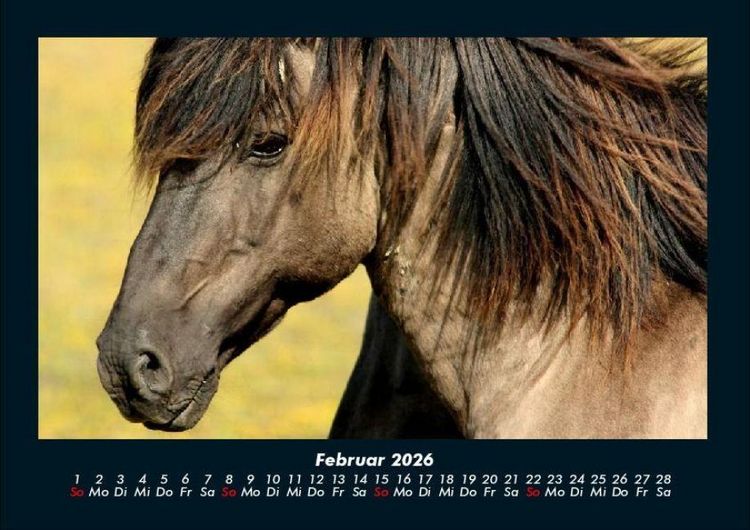 Produktbild: Welt der Tiere 2026 Fotokalender DIN A4