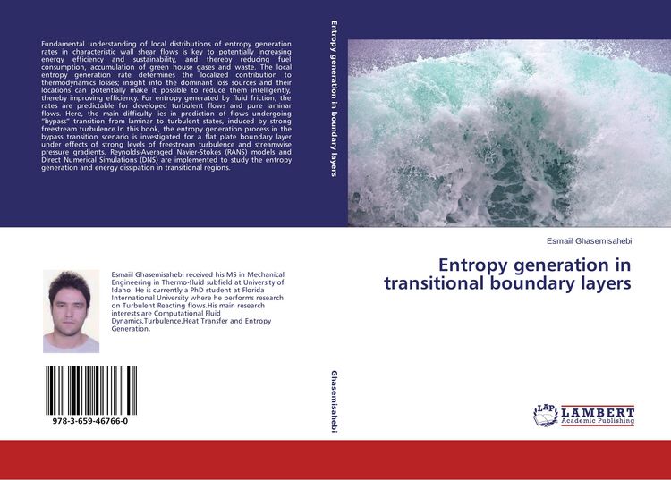 Produktbild: Entropy generation in transitional boundary layers