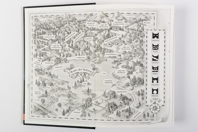 Produktbild: Warrior Cats - Special Adventure. Graustreifs Versprechen