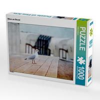 Produktbild: CALVENDO Puzzle M&ouml;we am Strand 1000 Teile Lege-Gr&ouml;&szlig;e 64 x 48 cm Foto-Puzzle Bild von Heike Hultsch