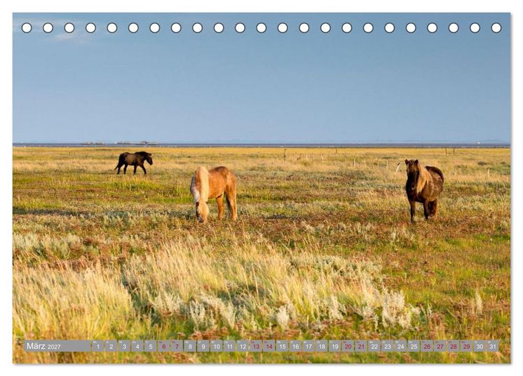 Produktbild: Ostfriesische Inseln (Tischkalender 2027 DIN A5 quer), CALVENDO Monatskalender