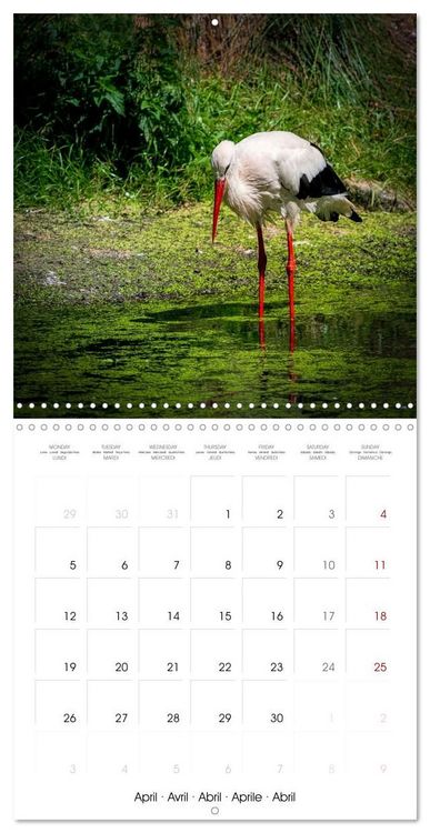 Produktbild: Whispers of Wings (Wall Calendar 2027 12 &times; 12 Inch) CALVENDO 12 Month Wall Calendar