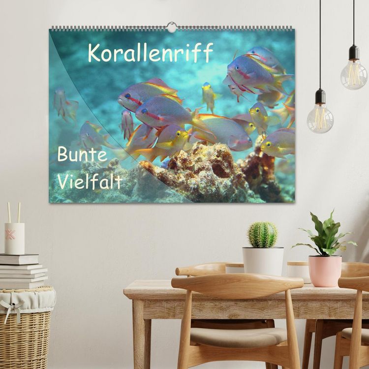 Produktbild: Bunte Vielfalt im Korallenriff (Wandkalender 2026 DIN A2 quer), CALVENDO Monatskalender