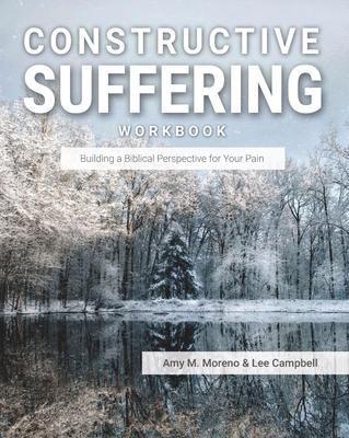 Produktbild: Constructive Suffering: Building a Biblical Perspective for Your Pain