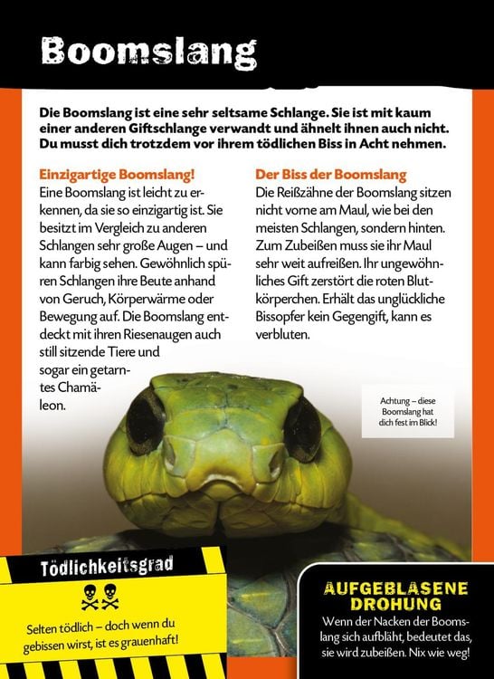 Produktbild: Die 100 tödlichsten Dinge der Welt