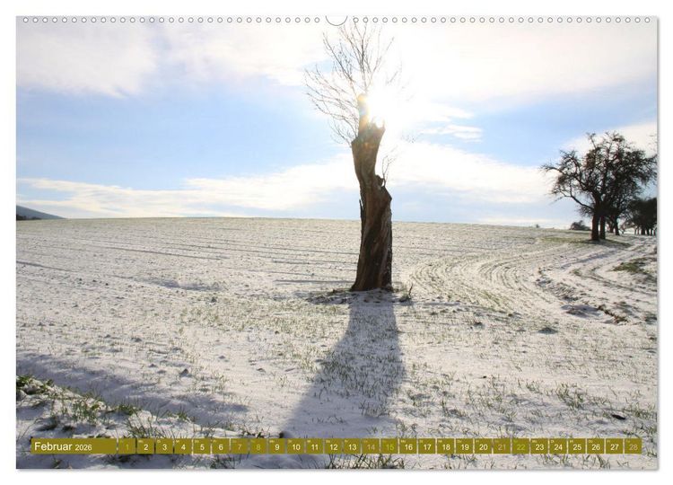 Produktbild: Apfelbaum und Streuobstwiesen (Wandkalender 2026 DIN A2 quer), CALVENDO Monatskalender