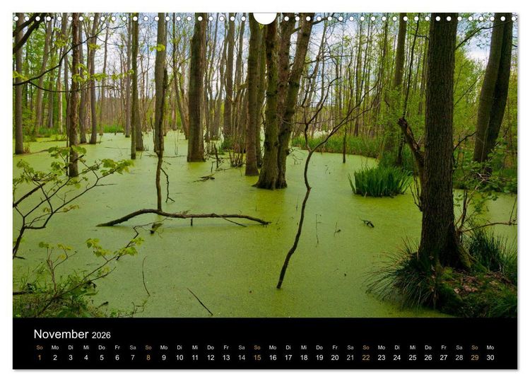 Produktbild: Brandenburg - Landschaften zwischen Elbe und Oder (Wandkalender 2026 DIN A3 quer), CALVENDO Monatskalender