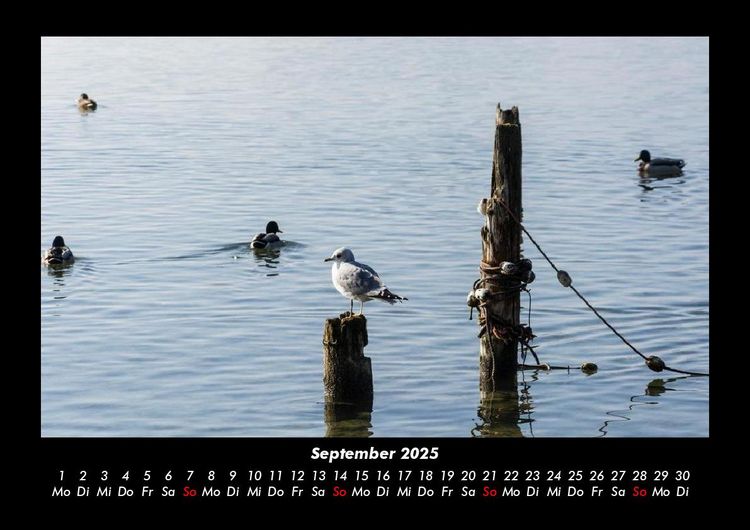 Produktbild: Seeblick 2025 Fotokalender DIN A3