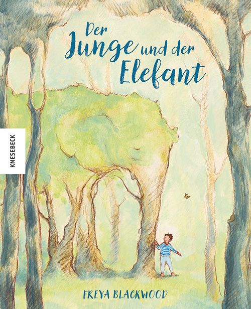 Produktbild: Der Junge und der Elefant