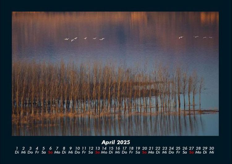 Produktbild: Landschaftskalender 2025 Fotokalender DIN A4