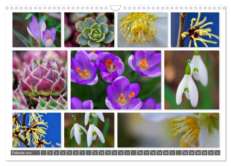 Produktbild: Naturcollagen 2026 (Wandkalender 2026 DIN A3 quer), CALVENDO Monatskalender